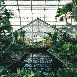 男男twinkgagtreevideo裸体
