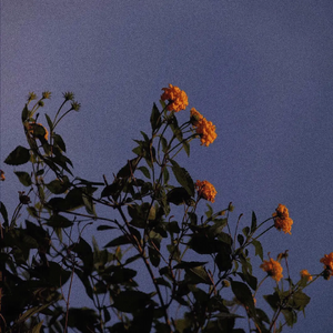 男男twinkgagtreevideo裸体
